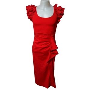 Sugarlips Pleated Midi Dress Womens Size Small Ruffle Sleeve Side Zip And Pleats
